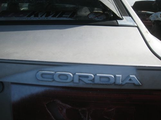 Illustration for article titled Cordia? What the Heck Is a Cordia?